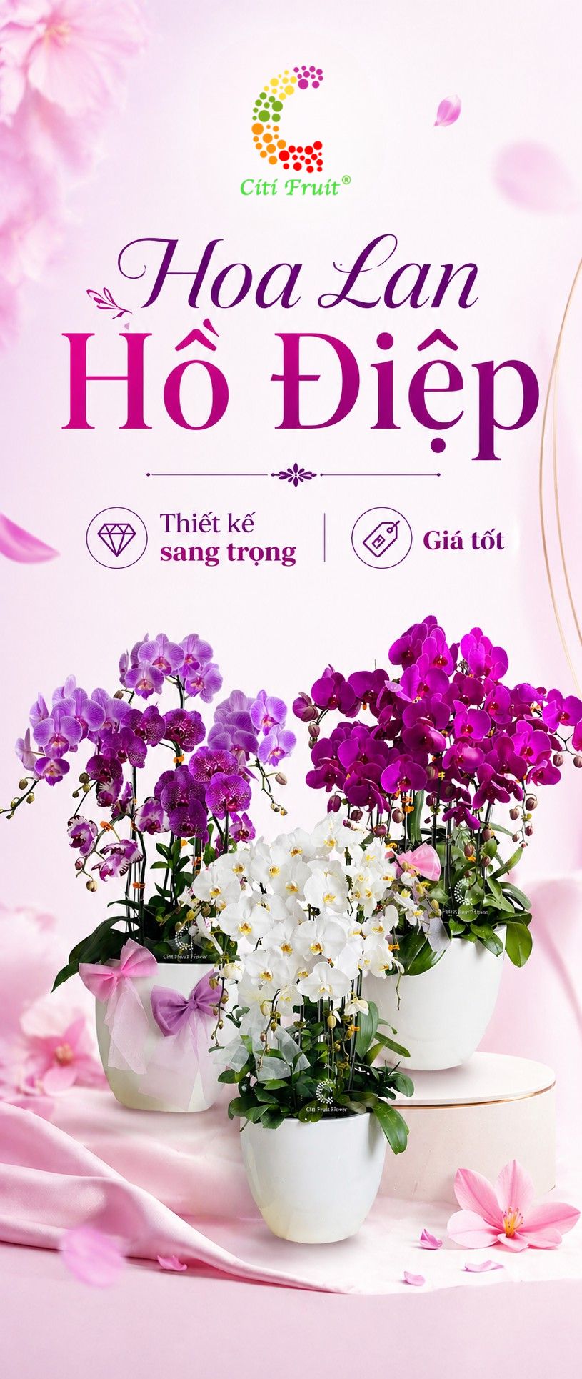 Quà Tết Doanh Nghiệp